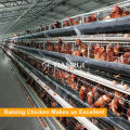 Qingdao A Type Galvanized Automatic Poultry Layer Cage À vendre